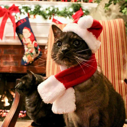 Christmas Hat with Scarf for Pets