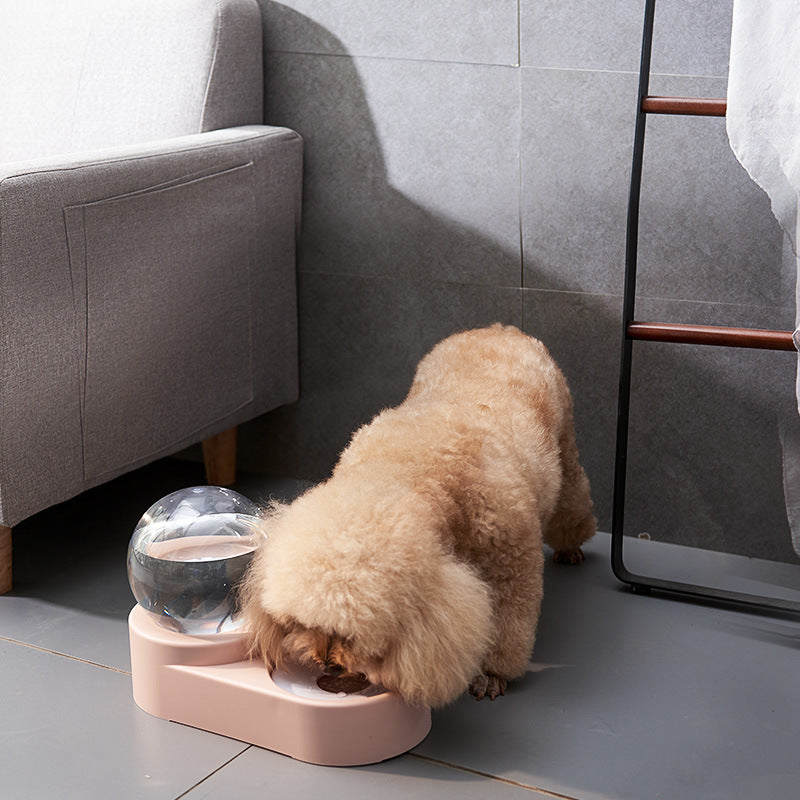 Water Feeding Station
