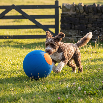 Inflatable Bite Resistant Herding Ball for Dogs – Durable Interactive Push & Chase Toy