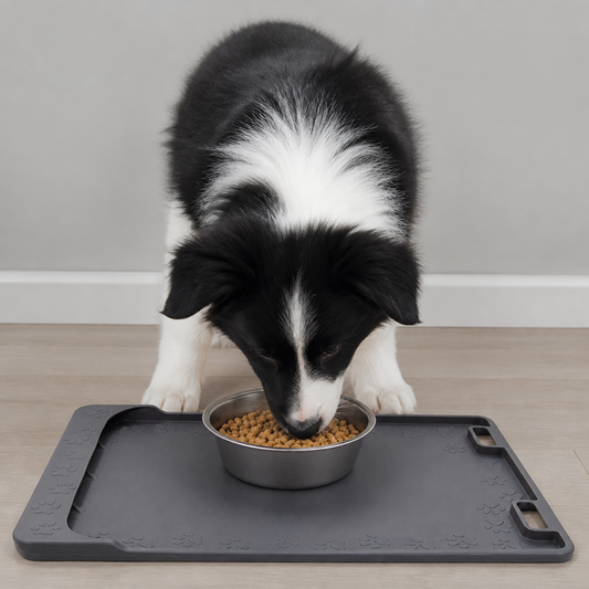 Non-Slip Mat for Food and Water Bowls
