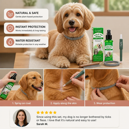 Natural Tick-Free Complete Protection Set for Dogs – The Worry-Free Package