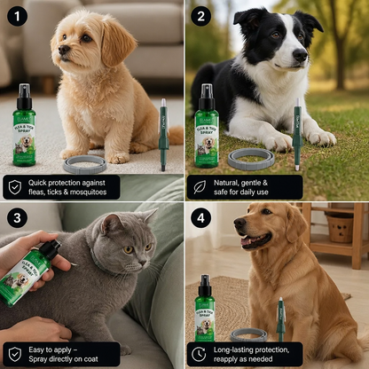 Natural Tick-Free Complete Protection Set for Dogs – The Worry-Free Package