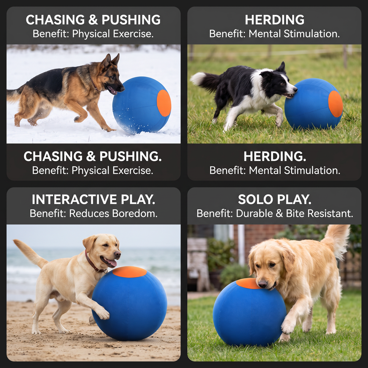 Inflatable Bite Resistant Herding Ball for Dogs – Durable Interactive Push & Chase Toy