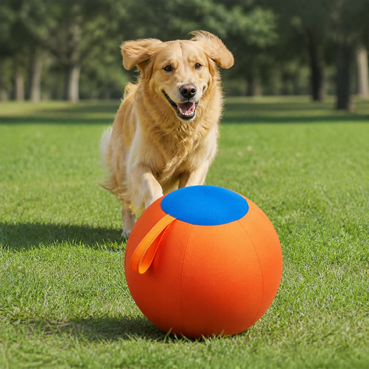 Durable training ball with cover for dogs