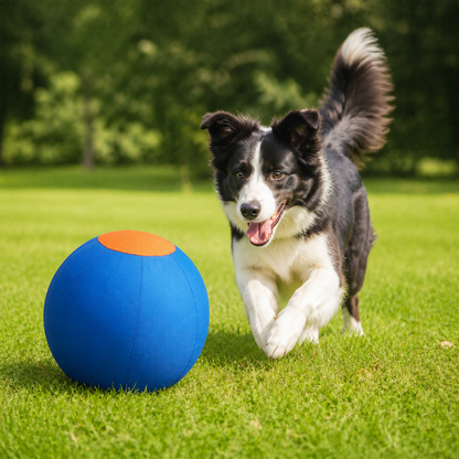 Durable training ball with cover for dogs