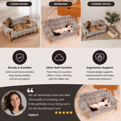 Luxury Elevated Solid Wood Pet Couch Bed