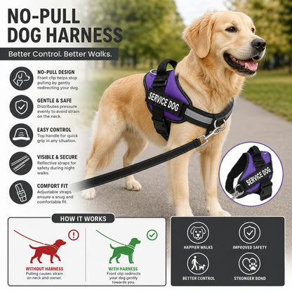 Personalized No-Pull Dog Harness with Front D-Ring – Designed for Neck & Shoulder Relief
