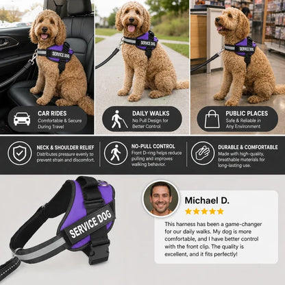 Personalized No-Pull Dog Harness with Front D-Ring – Designed for Neck & Shoulder Relief