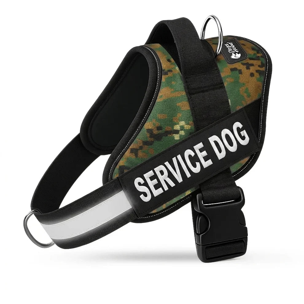 Personalized No-Pull Dog Harness with Front D-Ring – Designed for Neck & Shoulder Relief