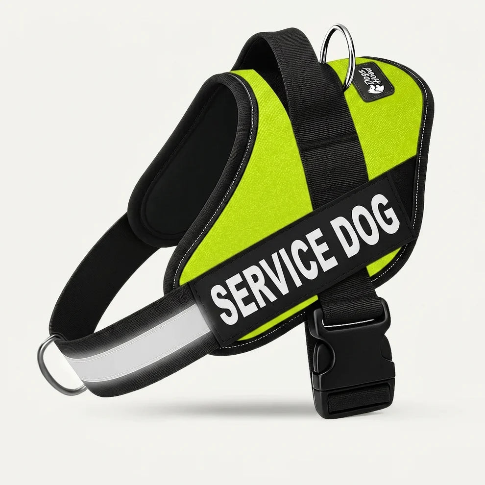 Personalized No-Pull Dog Harness with Front D-Ring – Designed for Neck & Shoulder Relief