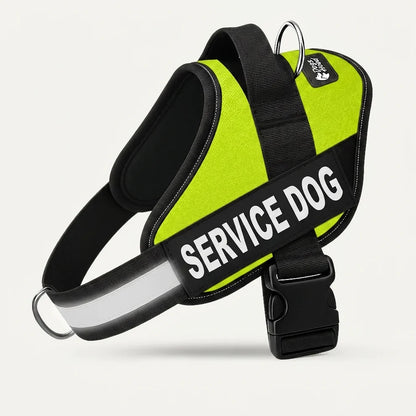 Personalized No-Pull Dog Harness with Front D-Ring – Designed for Neck & Shoulder Relief