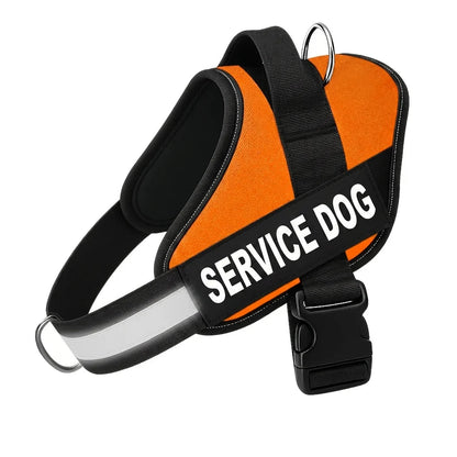 Personalized No-Pull Dog Harness with Front D-Ring – Designed for Neck & Shoulder Relief
