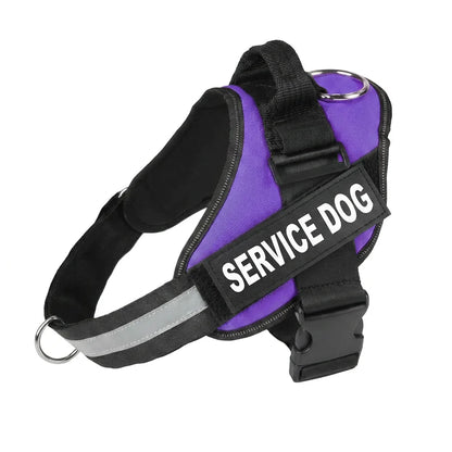 Personalized No-Pull Dog Harness with Front D-Ring – Designed for Neck & Shoulder Relief