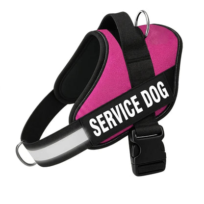 Personalized No-Pull Dog Harness with Front D-Ring – Designed for Neck & Shoulder Relief