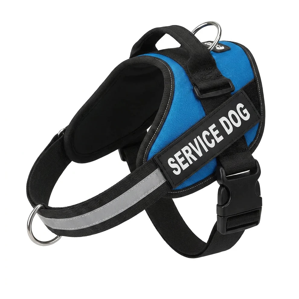 Personalized No-Pull Dog Harness with Front D-Ring – Designed for Neck & Shoulder Relief