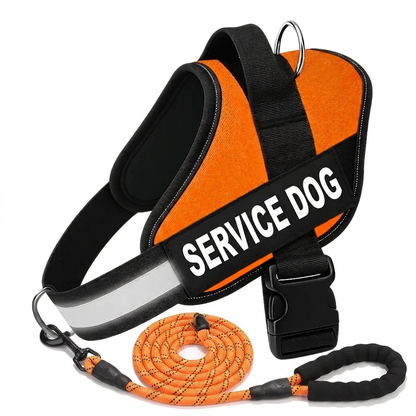 Personalized No-Pull Dog Harness with Front D-Ring – Designed for Neck & Shoulder Relief