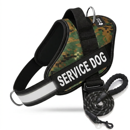 Personalized No-Pull Dog Harness with Front D-Ring – Designed for Neck & Shoulder Relief