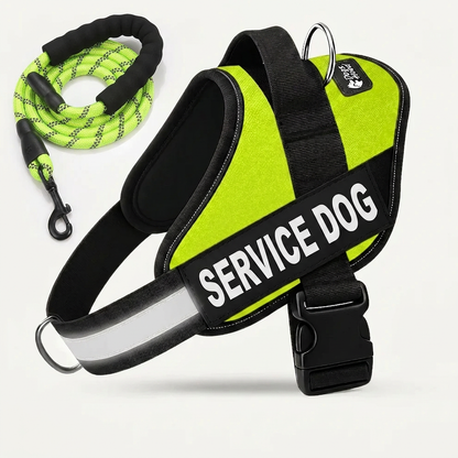 Personalized No-Pull Dog Harness with Front D-Ring – Designed for Neck & Shoulder Relief