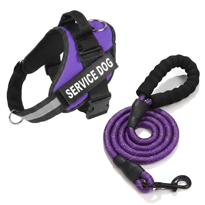 Personalized No-Pull Dog Harness with Front D-Ring – Designed for Neck & Shoulder Relief