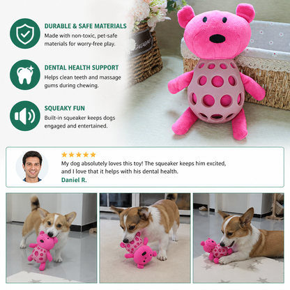 2-in-1 Bear Dog Toy – Squeaky Plush & Dental Chew Ball