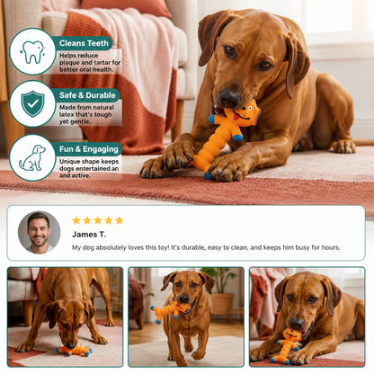 Durable Natural Latex Teeth Cleaning Dog Chew Toy