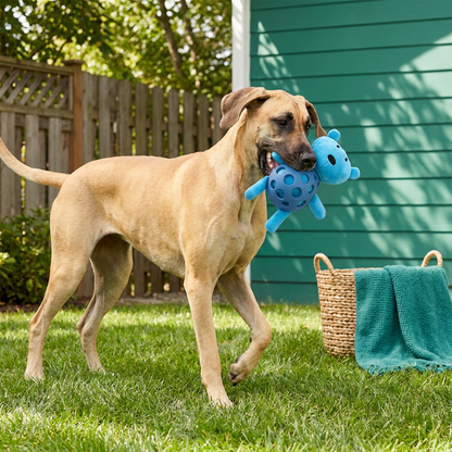 2-in-1 Bear Dog Toy – Squeaky Plush & Dental Chew Ball