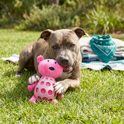 2-in-1 Bear Dog Toy – Squeaky Plush & Dental Chew Ball