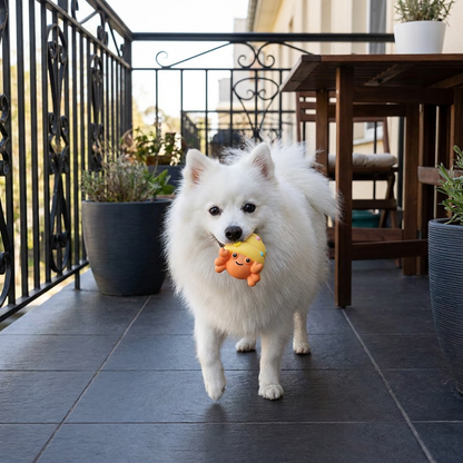 Cute Squeaky Ocean Animal Dog Toy