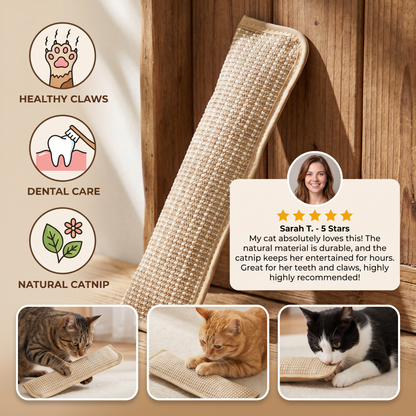 Natural Catnip Toy Scratching Pad made from Hemp Rope for Claw and Dental Care