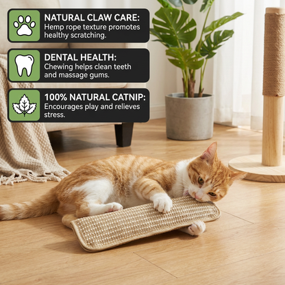 Natural Catnip Toy Scratching Pad made from Hemp Rope for Claw and Dental Care