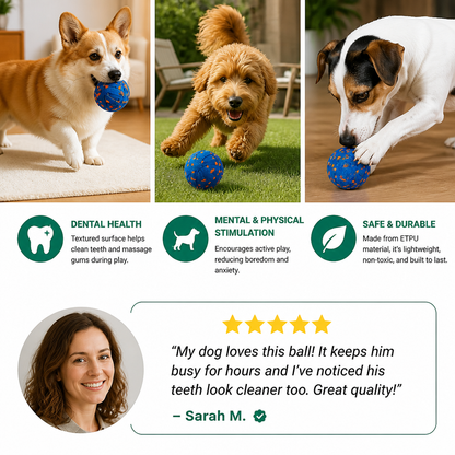 Interactive Rechargeable Dog Ball – Smart Rolling & Dental Chew Toy