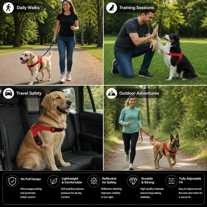 Personalized Reflective No-Pull Dog Harness with Custom Name Patch