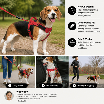 Personalized Reflective No-Pull Dog Harness with Custom Name Patch