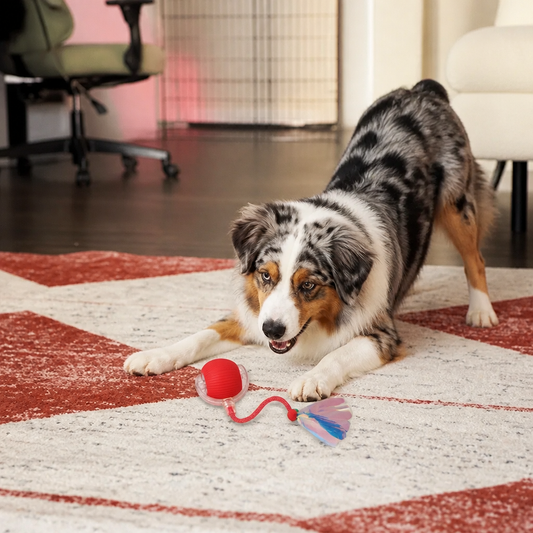 Upgraded Smart Rolling Dog Ball – Durable Interactive Toy with Mesh Tail