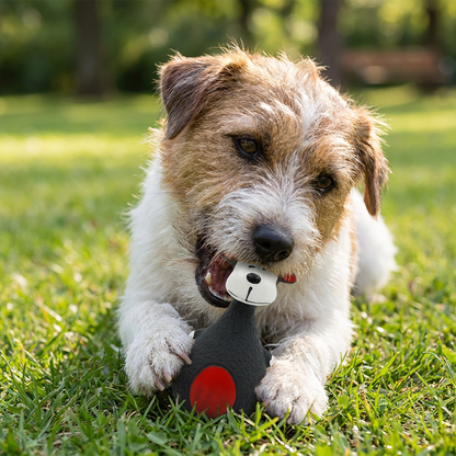 Durable Eco-Friendly Latex Squeaky Dental Dog Toy