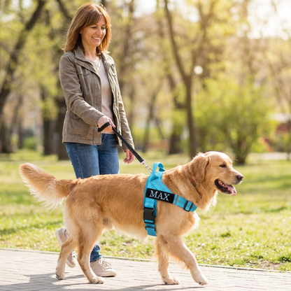 Personalized Reflective No-Pull Dog Harness with Custom Name Patch