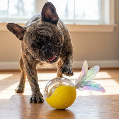 Upgraded Smart Rolling Dog Ball – Durable Interactive Toy with Mesh Tail