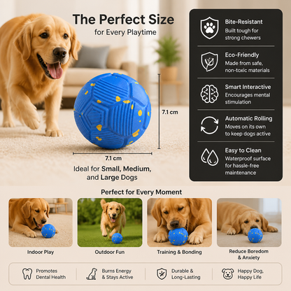 Eco-Friendly Bite-Resistant Smart Interactive Automatic Dog Ball
