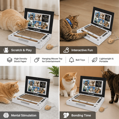 Cardboard Laptop Cat Scratcher & Interactive Toy