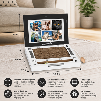 Cardboard Laptop Cat Scratcher & Interactive Toy
