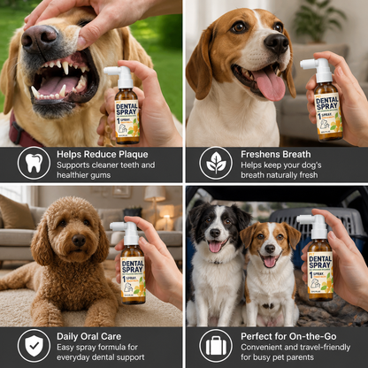 Brushless Tartar Control Dental Spray for Dogs – Helps Reduce Plaque & Freshen Breath