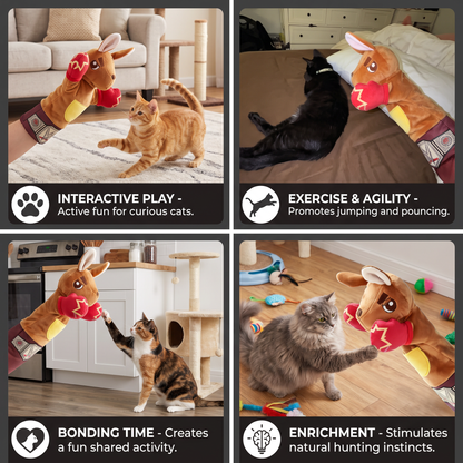 Interactive Kangaroo Boxing Hand Puppet Cat Toy
