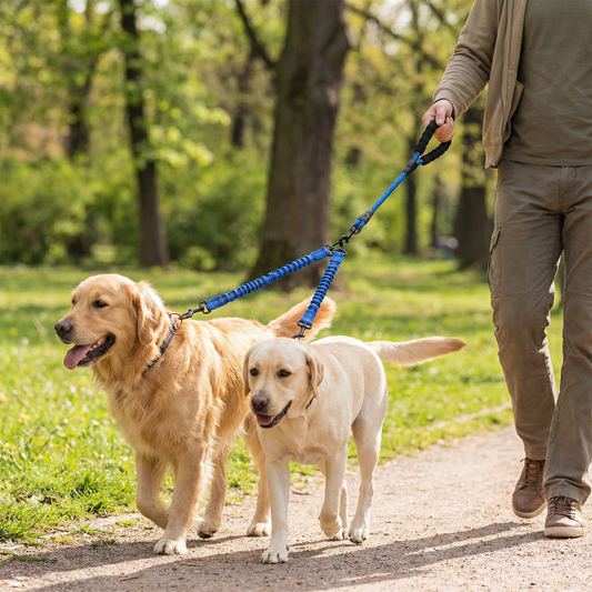 Easy Anti-Tangle Double Dog Leash