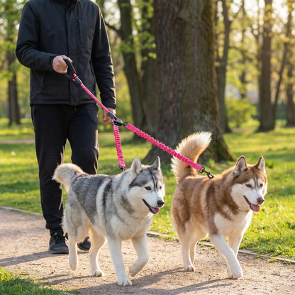 Easy Anti-Tangle Double Dog Leash