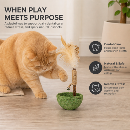 Teeth Cleaning Catnip Tumbler Cat Toy – Interactive Feather Teaser with Bell