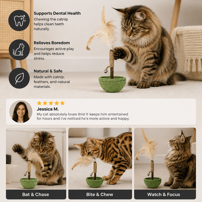 Teeth Cleaning Catnip Tumbler Cat Toy – Interactive Feather Teaser with Bell