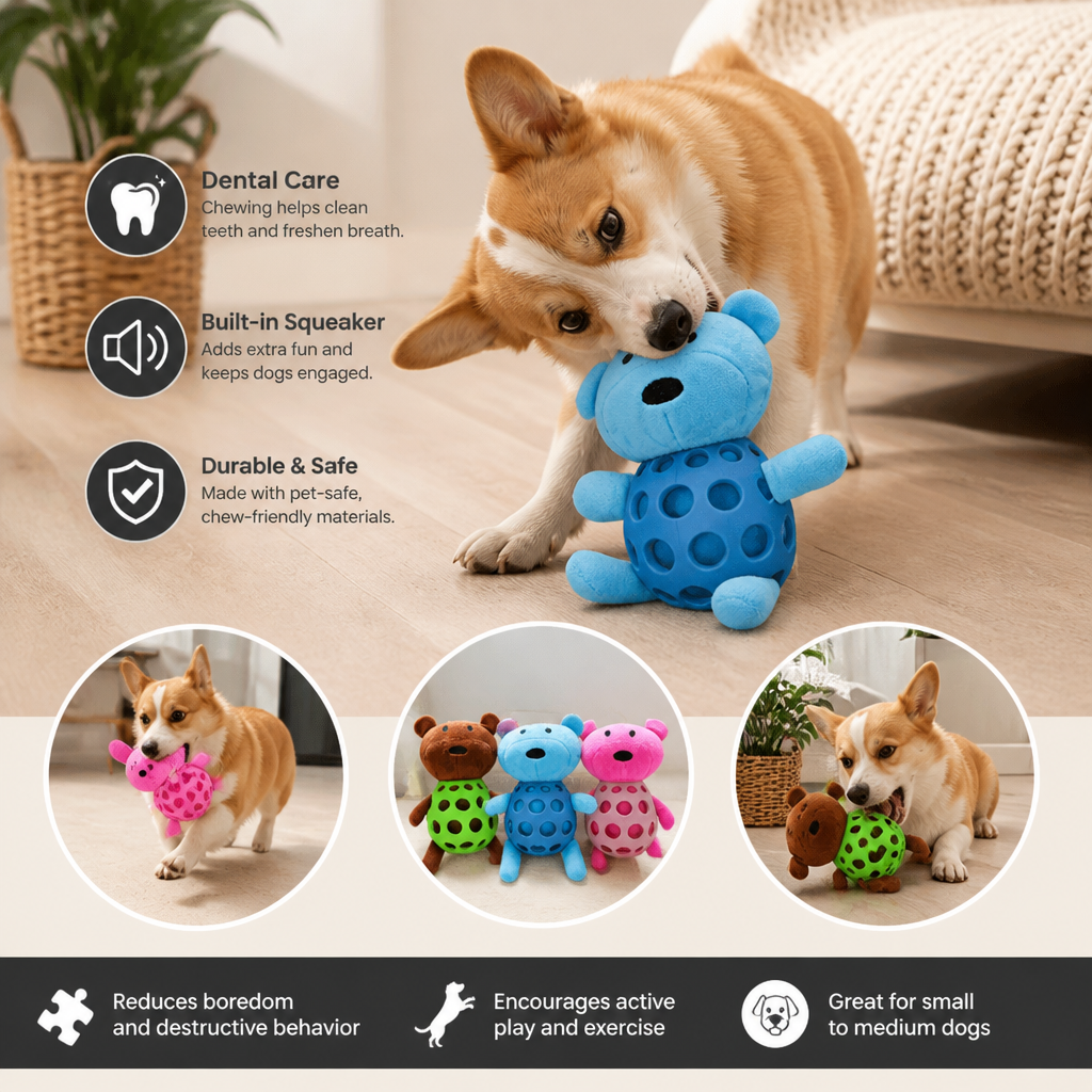 2-in-1 Bear Dog Toy – Squeaky Plush & Dental Chew Ball