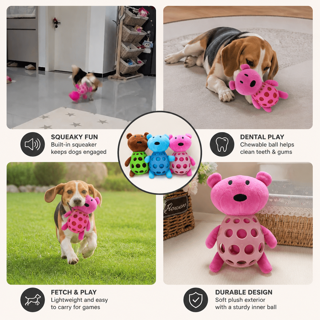 2-in-1 Bear Dog Toy – Squeaky Plush & Dental Chew Ball