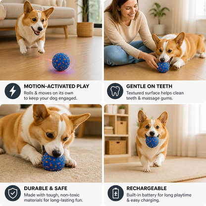 Interactive Rechargeable Dog Ball – Smart Rolling & Dental Chew Toy