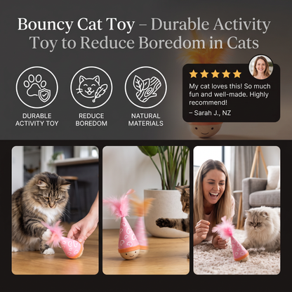 Bouncy Cat Toy – Durable Activity Toy to Reduce Boredom in Cats